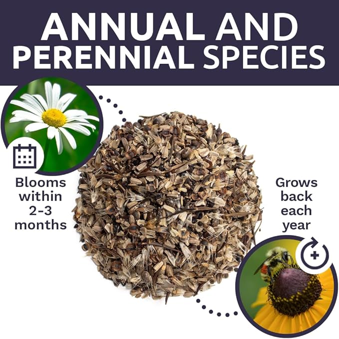 Cut Flower Garden Seeds - Bulk 1/4 Pound Bag - Over 30,000 Fresh Open Pollinated Non-GMO Wildflower Seeds - Long Lasting Annuals and Perennials with Bright Colors