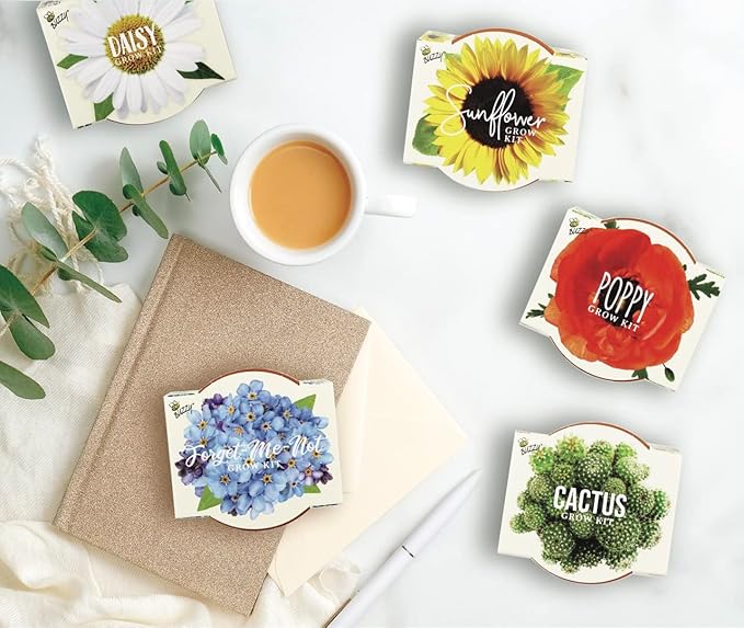 Buzzy Seeds Terracotta Mini Grow Pots | Herb, Plant, Flower Starter Kit for Kids & Adults | Assorted 12-Pack, Daydream Collection | Guaranteed to Grow | Best Indoor-Outdoor Gardening Gift