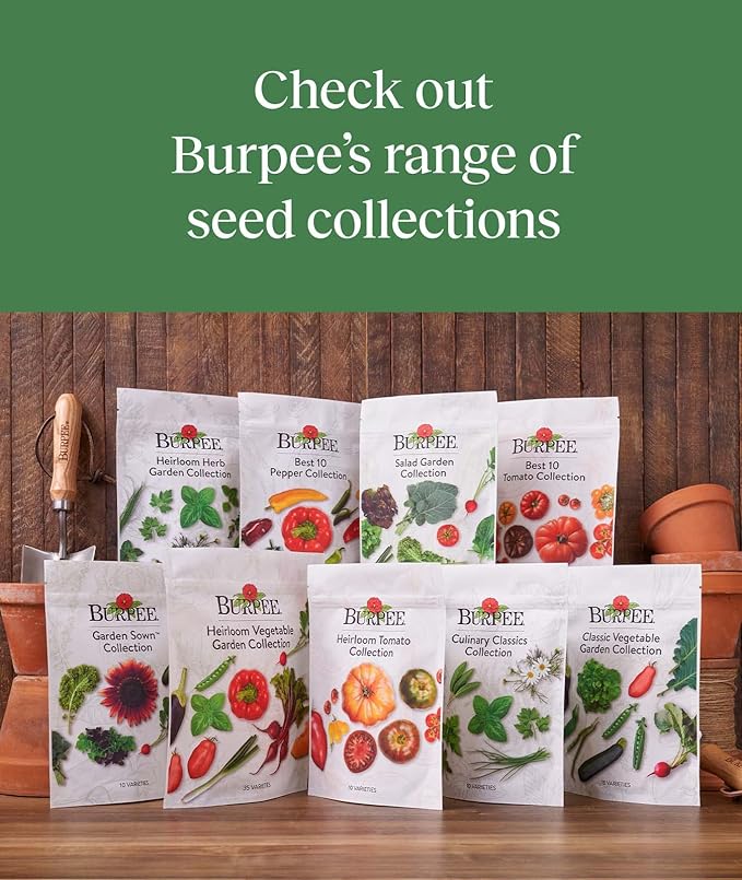 Burpee Favorites 10 Packets of Non-GMO Tomato Planting Heirloom Seeds Garden Gifts