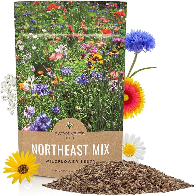 Northeast Wildflower Seeds - Bulk 1/4 Pound Bag - Over 30,000 Native Seeds - Open Pollinated and Non GMO Varieties for New York, Virginia, Pennsylvania, Maine and More!