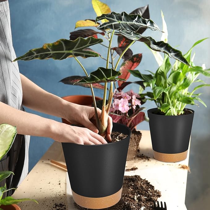 GARDIFE Plant Pots 8/7/6.5/6/5.5/5 Inch Self Watering Planters with Drainage Hole, Plastic Flower Pots, Nursery Planting Pot for All House Plants, African Violet, Flowers, and Cactus,Black
