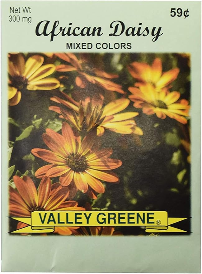 Black Duck Brand Set of 25 Flower Seed Packets! Flower Seeds in Bulk - Great for Creating The Garden of Your Dreams! (100, African Daisy)