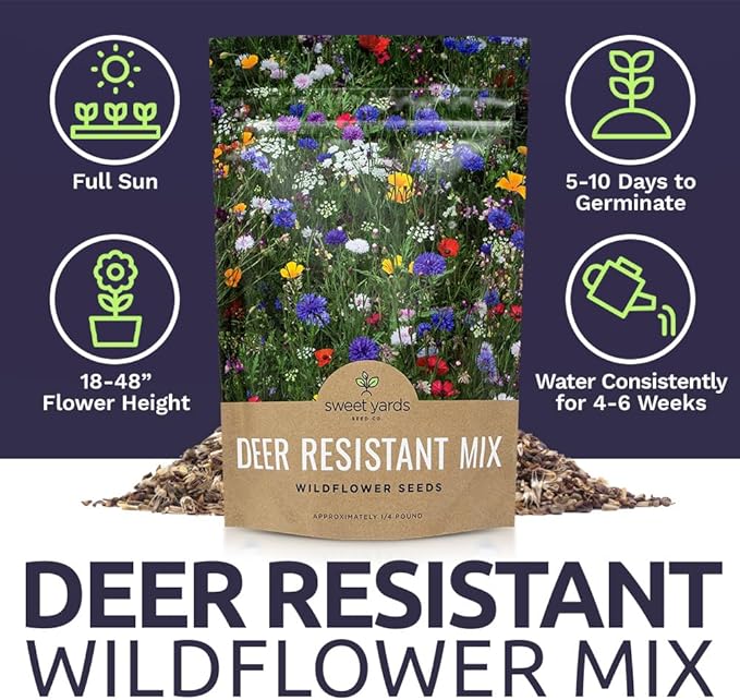Deer Resistant Wildflower Seed Mixture - Bulk 1/4 Pound Bag - Over 60,000 Deer Tolerant Seeds - Open Pollinated and Non GMO