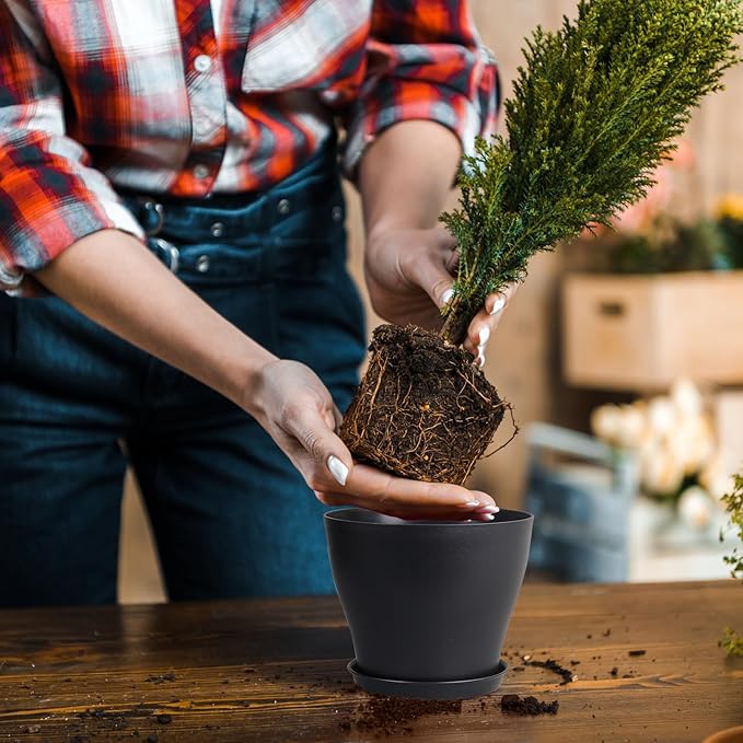 6 inch Plastic Nursery Pots, Seedling Pots, 16 Pack Plant Pots for Small Indoor Outdoor Plants, Flower Pots with Drainage Holes and Saucers, Decorative Planters for House Plants, Black