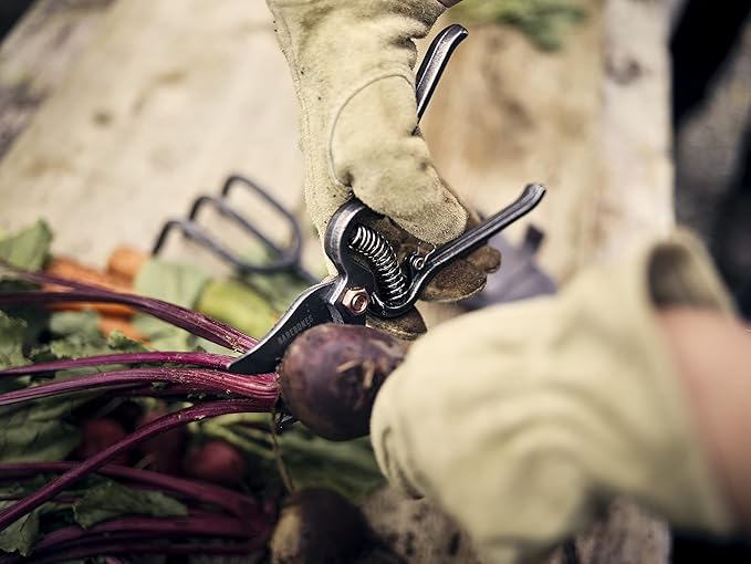 Barebones Pruner - Heavy Duty, Non-Slip Pruning Shears with Durable Blades - Old World Japanese Design, Plant Trimming Scissors - Ideal Houseplant Accessories & Garden Tools