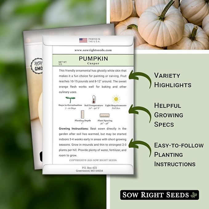 Sow Right Seeds - Casper Pumpkin Seed for Planting - Non-GMO Heirloom Packet with Instructions to Plant a Home Vegetable Garden - Striking White Variety - Autumn Decor or Unique Jack o Lanterns (1)