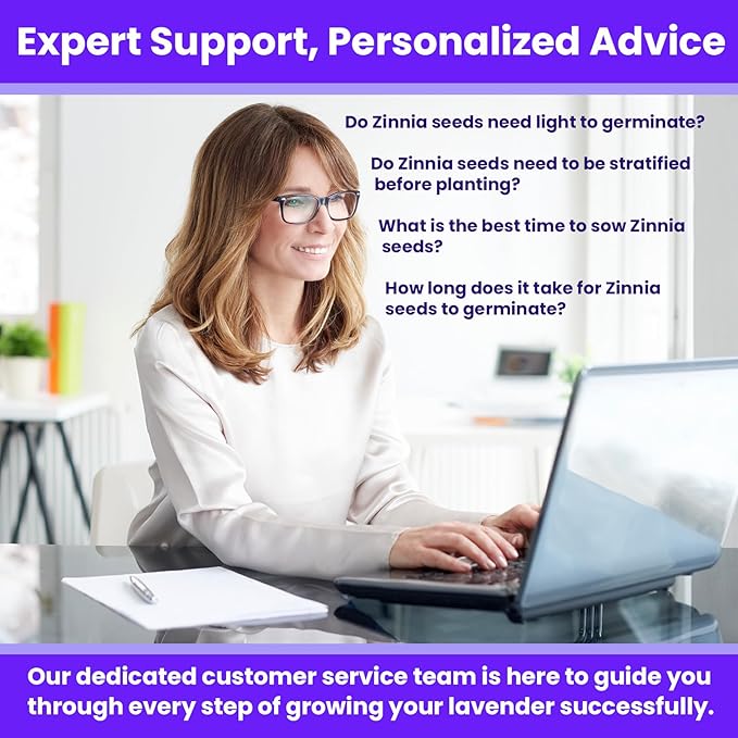 NatureZ Edge Zinnia Seeds for Planting Outdoors, Flower Seeds, Bulk Semillas De Flores para Sembrar, 5 Pack