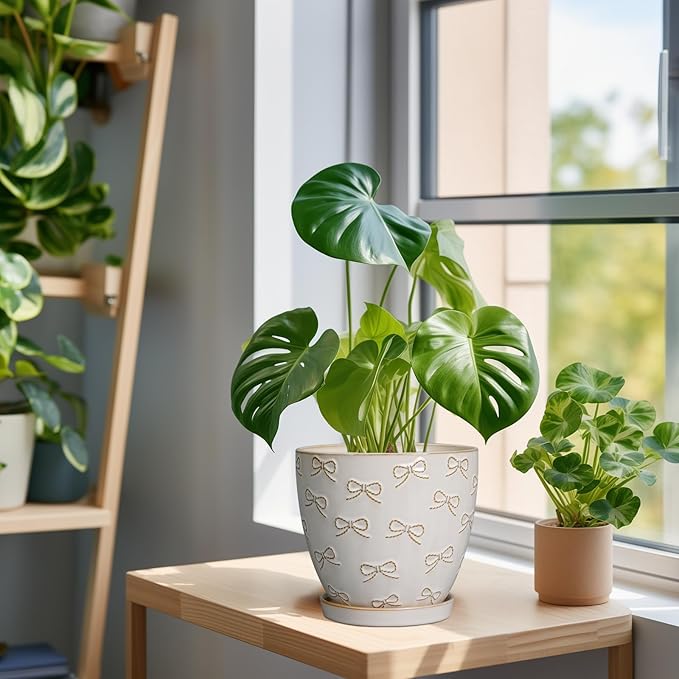 Ceramic Plant Pot 6 Inch - Ceramic Planter with Drainage Hole and Saucer Round Planter Flower Pot for Indoor Plants Outdoor Home Garden Office Decor White