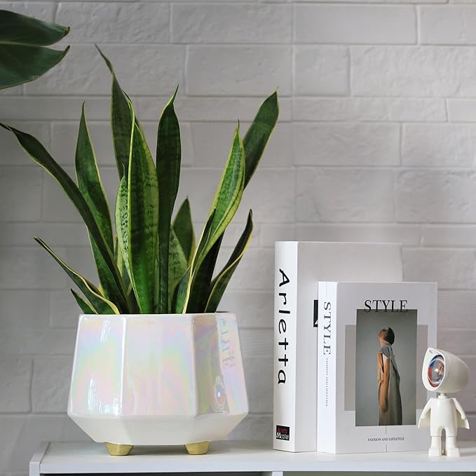 8 Inch Ceramic Planter for Indoor Plants - Plant Pots with Drainage Holes - Modern Minimalist Flower Pot for Succulents and Herbs