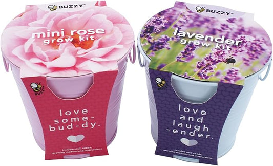 Buzzy Seeds Painted Love Pails | Flower & Herb Starter Kit for Kids & Adults | 2-Pack | Mini Rose and Lavender Seeds | Guaranteed to Grow | Best Indoor Grow Your Own Plant Gardening Gift