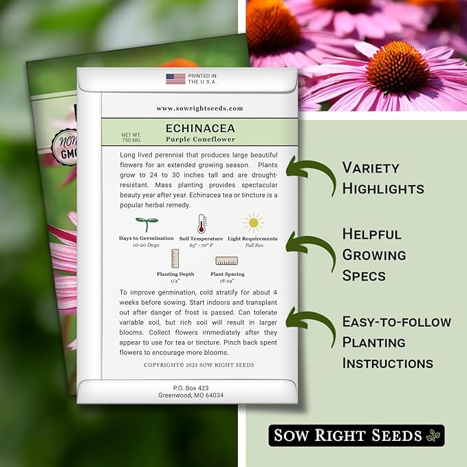 Sow Right Seeds - Purple Coneflower/Echinacea Flower Seeds for Planting - Non-GMO Heirloom - Plant for an Herbal Tea Garden - Attract Pollinators - Great Cut and Come Back Flower (4)
