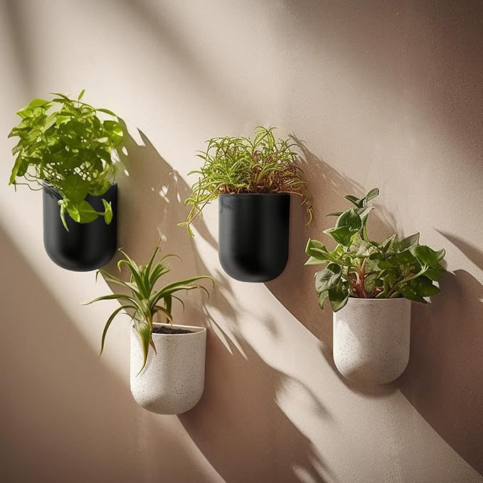LA JOLIE MUSE Wall Hanging Planters for Indoor Plants,Hanging Flower Pots for Air Plants Succulent, Set of 2, 6 Inch, Black