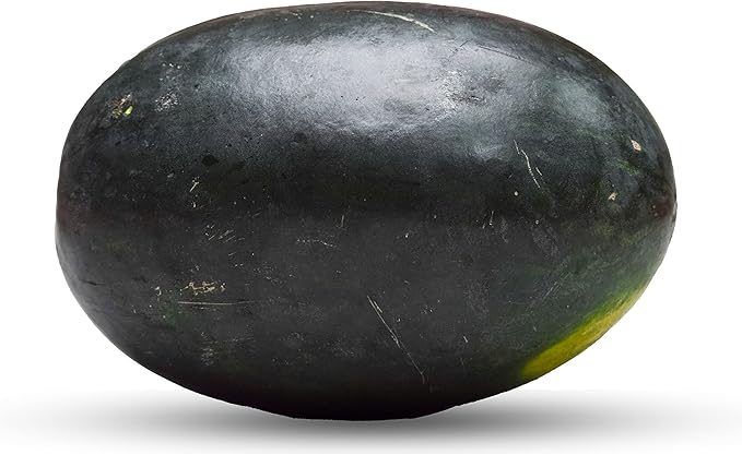 50 Black Diamond Watermelon Seeds for Planting - Heirloom Non-GMO Fruit Seeds for Planting - Grows Big Giant Watermelons Averaging 30-50 lbs