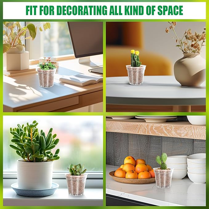 40 Pack 3.5 Inch Clear Nursery Pots for Plants, Sturdy Plastic Plant Pot for Planting Vegetables Flowers Seedlings, Transparent Seed Starter Pots with Drainage Holes(40P-3.5" Clear)