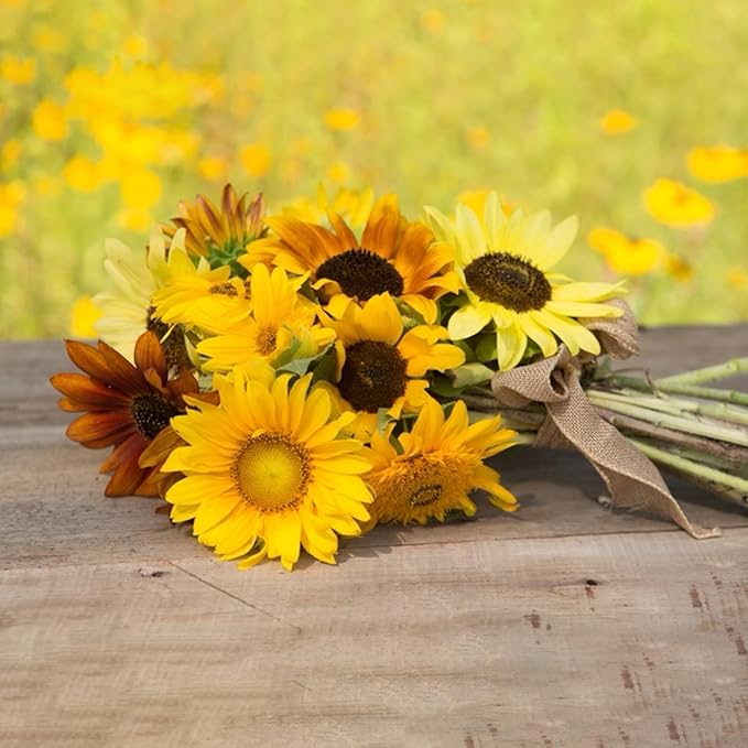 25 Sunflowers for Mom - Happy Mothers Day - Sunflower Seed Packets
