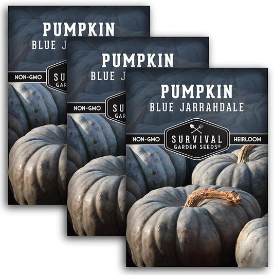 Blue Jarrahdale Pumpkin Seeds for Planting - 3 Packets with Instructions to Plant & Grow Decorative and Flavorful Blue Pumpkins in Your Home Garden - Non-GMO Heirloom Variety - Survival Garden Seeds