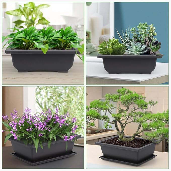 GROWNEER 6 Pack 9 Inch Bonsai Pots with Drainage Humidity Trays, Bonsai Tree Training Kits with 1 Repotting Mat, Plant Container Planter Growing Pot for Garden Outside Indoor
