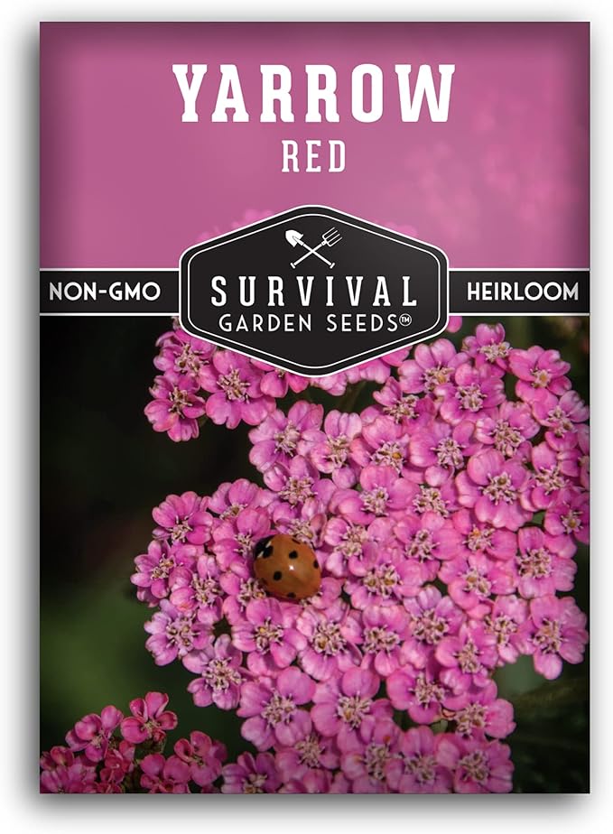 Red Yarrow Seed for Planting in The Garden - 1 Pack with Instructions to Plant and Grow Common Yarrow - Medicinal Herb Wildflowers - Heirloom, Non-GMO, Open-Pollinated Seeds for The Survival Garden