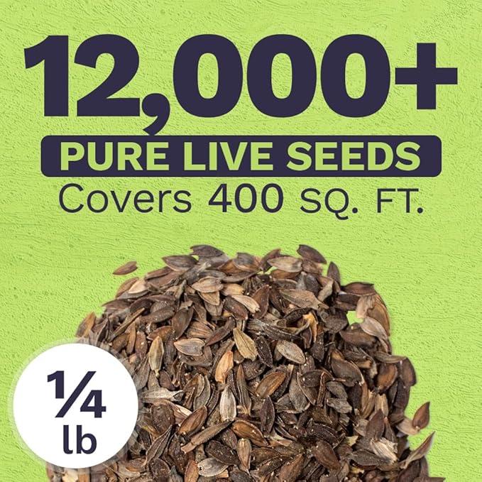 Bulk Zinnia Seeds - California Giants Mix - Bulk 1/4 Pound Bag Over 12,000 Flower Seeds - Mixed Colors and Large Blooms