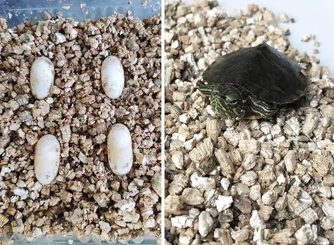 20QT Organic Vermiculite Granules for Plants and Gardening