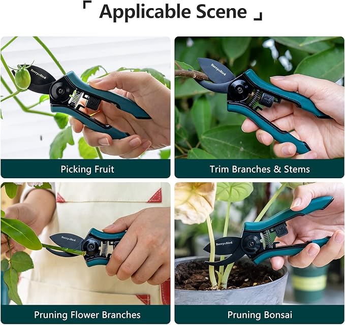 Berry&Bird Garden Clippers, Pruning Scissors with Stainless Steel Teflon Coating Blades and Handle, Plant Clippers Work 3 Times Easier with Spring, Garden Shears for Trimming Rose, Small Stem, Bonsai