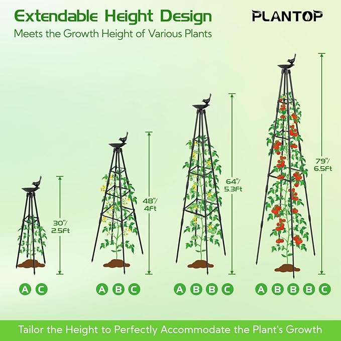 2 Pack Garden Obelisk Trellis for Climbing Plants | 79 Inches Tall Rustproof Metal Plant Support Trellis | Adjustable Garden Tower Trellis for Indoor Outdoor Vines Vegetables Flowers