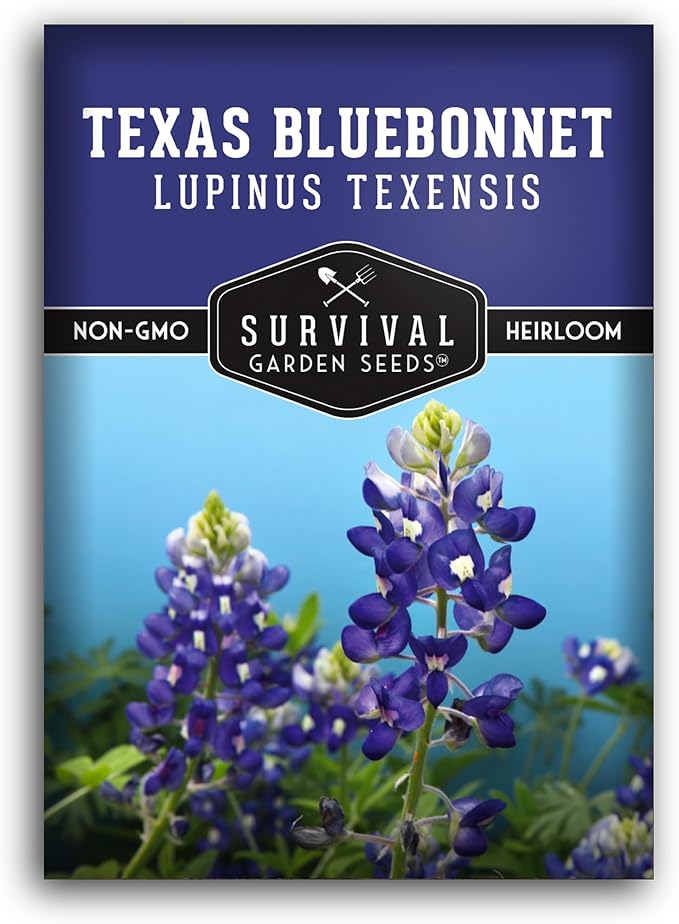 Texas Bluebonnet Seed for Planting - 1 Packet with Instructions to Plant & Grow Lupinus Texenisis in Your Home Wildflower Garden - Non-GMO Heirloom Variety- Survival Garden Seeds - Drought Resistant