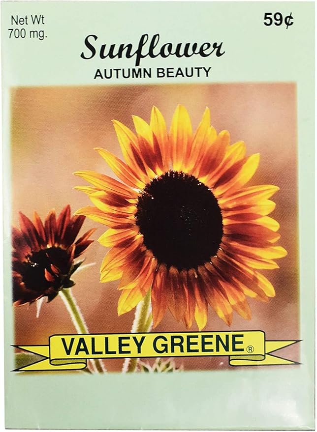 Set of Flower Seed Packets! Flower Seeds in Bulk - Great for Creating The Garden of Your Dreams! (200, Autumn Beauty Sunflower)