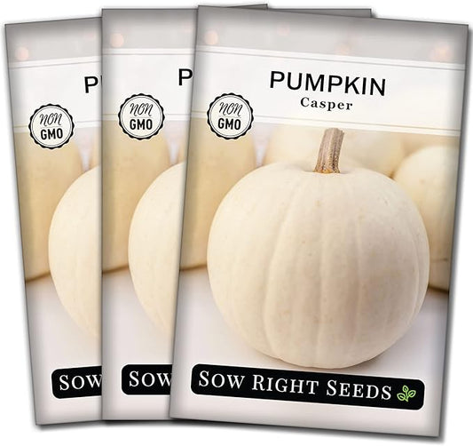 Sow Right Seeds - Casper Pumpkin Seed for Planting - Non-GMO Heirloom Packet with Instructions to Plant a Home Vegetable Garden - Striking White Variety - Autumn Decor or Unique Jack o Lanterns (3)
