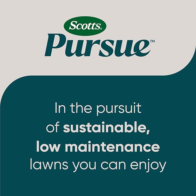 Scotts Pursue Dichondra with Natural Seed, Seeding for Decorative Areas, 1.5 lbs. (Pack of 2)