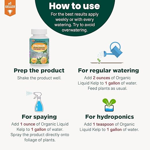 Money Tree Superfood - 32 oz - Premium Liquid Kelp Fertilizer for Stunning Money Tree Displays