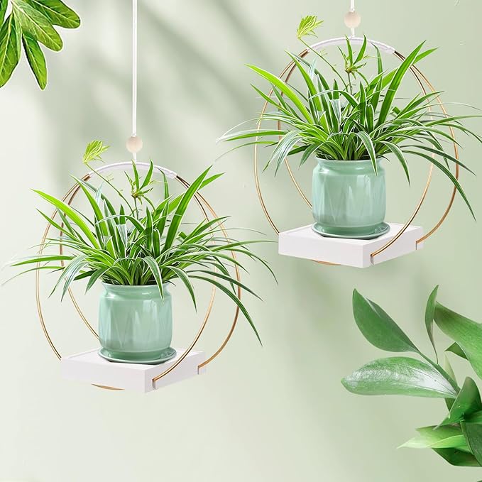 2 Pack Hanging Planter Holder for Indoor Plants, Plant Hanger with Sturdy Wood Base,Modern Boho Macrame Wall Ceiling Window Stands(Plants/Pots Not Included)