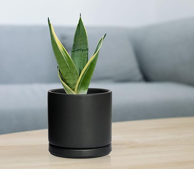 D'vine Dev Ceramic Planter Pot with Drainage Hole and Saucer, Indoor Cylinder Round Flower Pot, 4.6 Inch, Black, 94-O-B-2