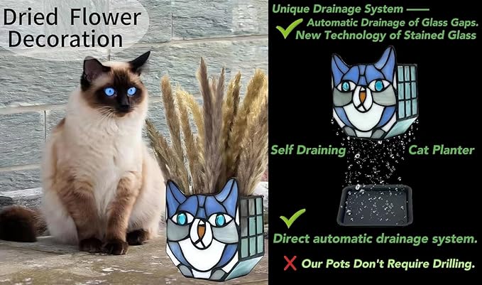 Indoor Plant Display Glass Container, Unique Pots for Plants, Glass Container Decoration,Suitable for Growing Small Plants 4.6x5.15x3 in (Excluding Plants)