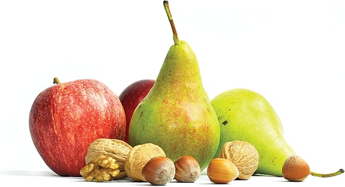 Jobe’s Organics Granular Garden Fertilizer, Easy Plant Care Fertilizer for Fruit and Nut Plants and Trees, 4 lbs Bag