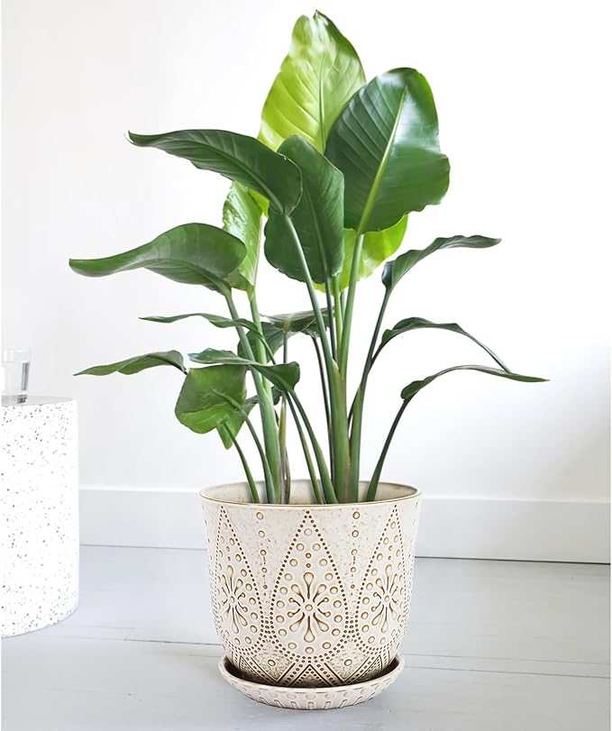 Gepege 10 Inch Plant Pot, Creamy White Ceramic Planter with Drainage Holes and Saucers for Plants Indoor and Outdoor Flower Pot