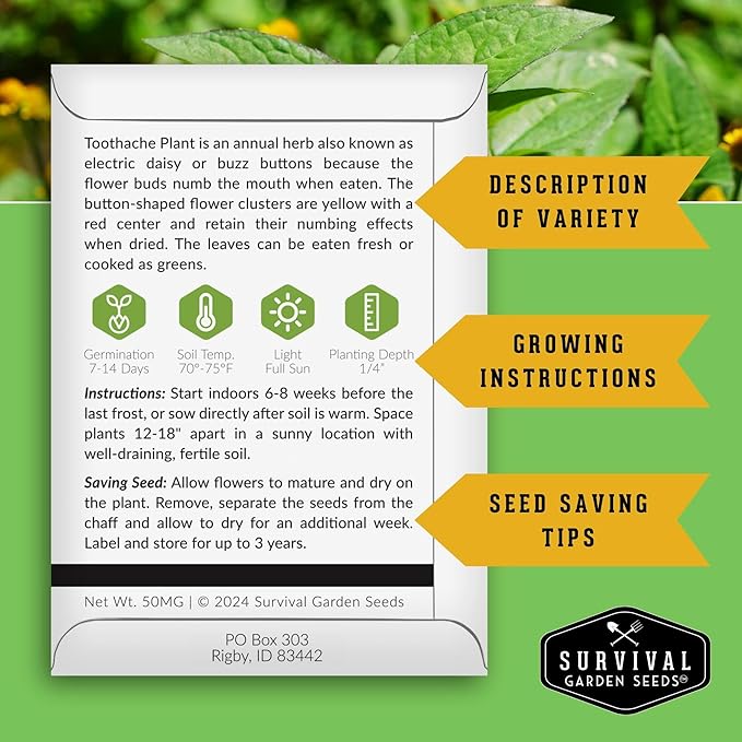 Toothache Plant Seeds for Planting - 5 Packets with Instructions to Plant and Grow Electric Daisy in Your Home Herb Garden - Non-GMO Heirloom Variety - Survival Garden Seeds