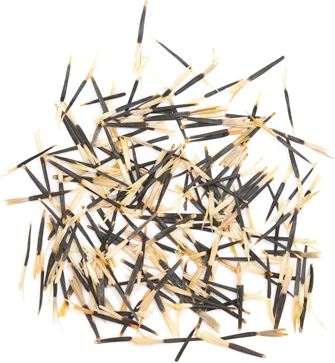 Seed Needs Crackerjack Marigold Seeds for Planting - Heirloom & Open Pollinated Annual Flowers - Plant a Butterfly Garden to Attract Pollinators (5 Packs (1,250 Seeds))