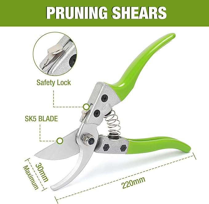 WORKPRO W005009WE 9 Piece Garden Tool Set – Heavy-Duty Stainless Steel, Includes Storage Tote Bag, Gardening Gloves and 7 Hand Tools (1 Kit)