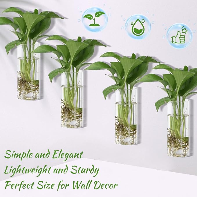 Baderke 6 Pcs Glass Wall Vase for Plants Indoor Hanging Propagation Planter Container Holder with Plastic Invisible Traceless Hangers Hydroponic Plant Succulent Garden Wedding Decor