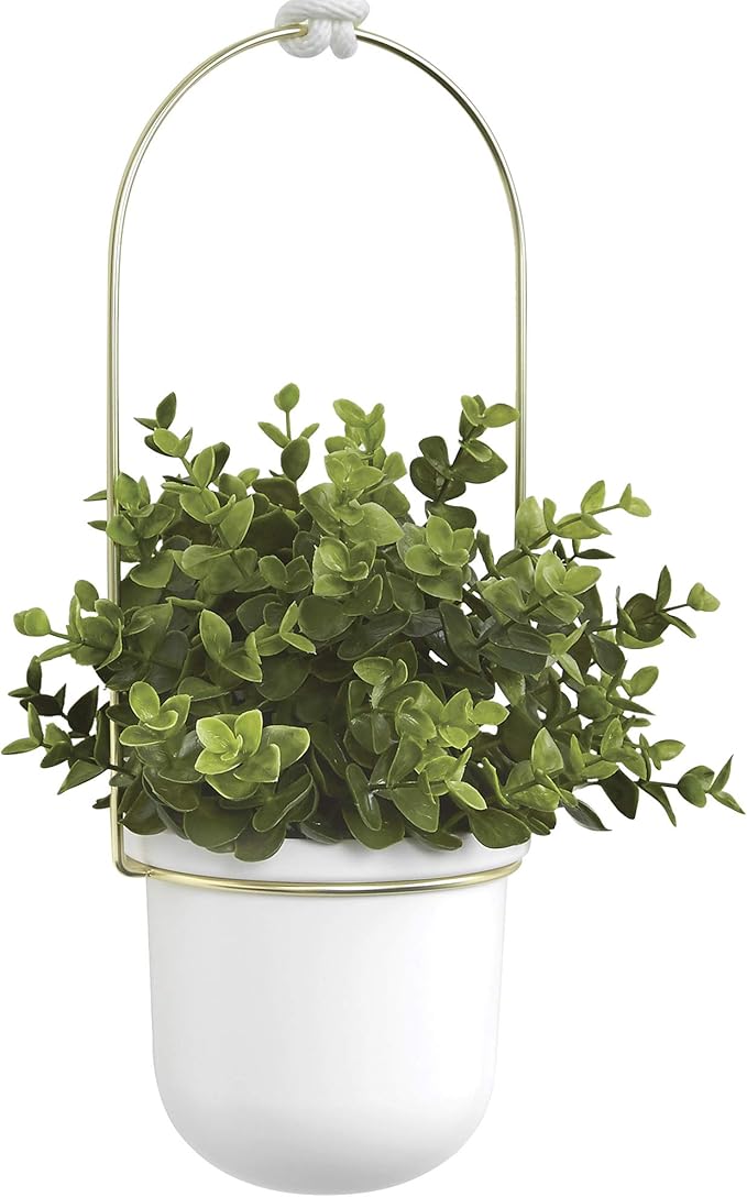 Umbra Triflora Hanging Planter for Window, Indoor Herb Garden, Set of 3, White/Brass