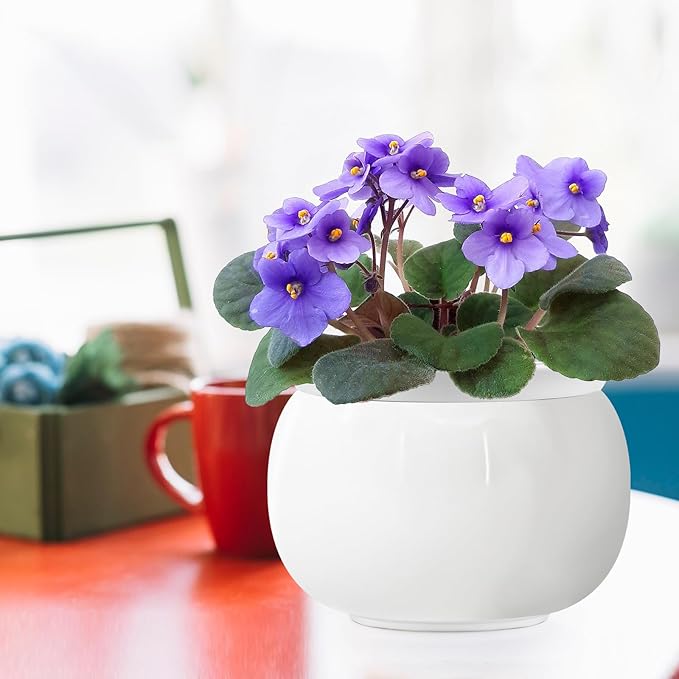 African Violet Pots, 8 Inch Self Watering Pots, Easy Plant Self Watering Pot, Ceramic Plant Pot with Absorbent Inner Pot for Flowers, Flower Pot Indoor - White