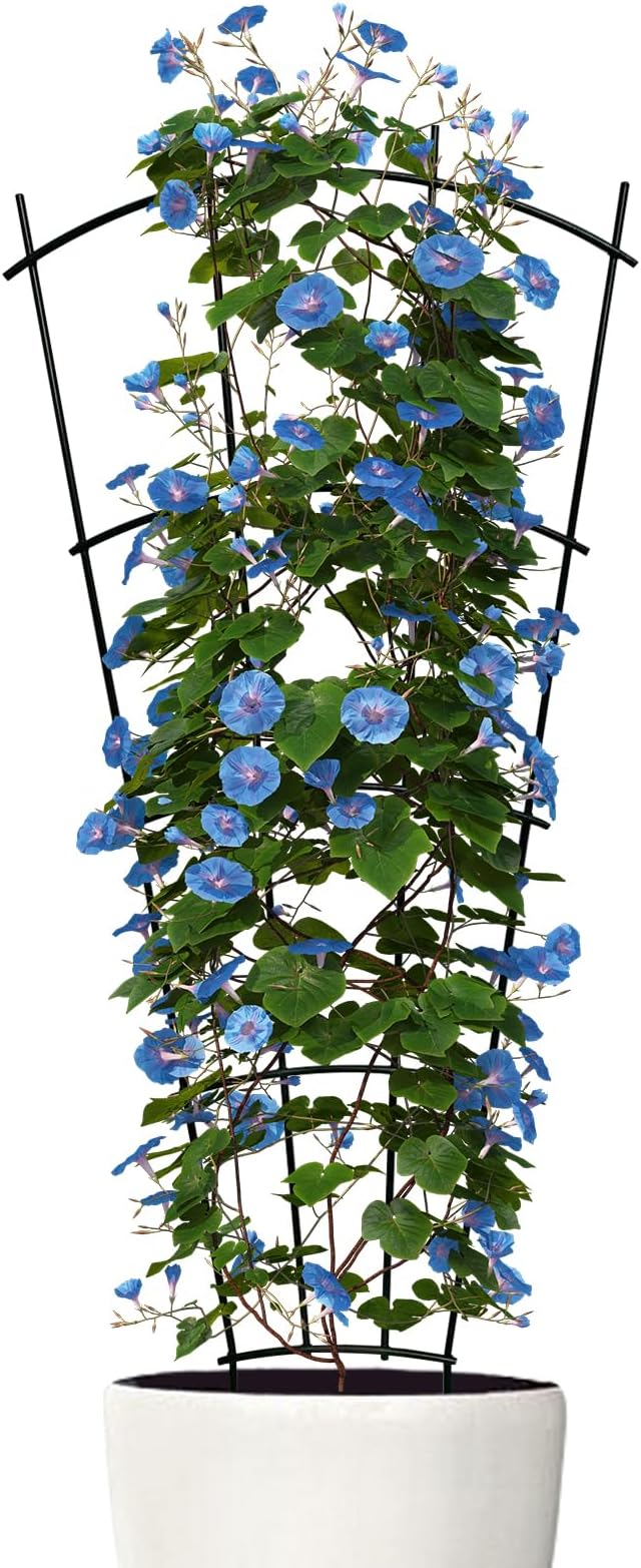 4 Pack 32'' Indoor Plant Trellis for Potted Plants Climbing Outdoor Metal Garden Trellis Houseplants Flowers Vine Ivy,Fan Shape, Black