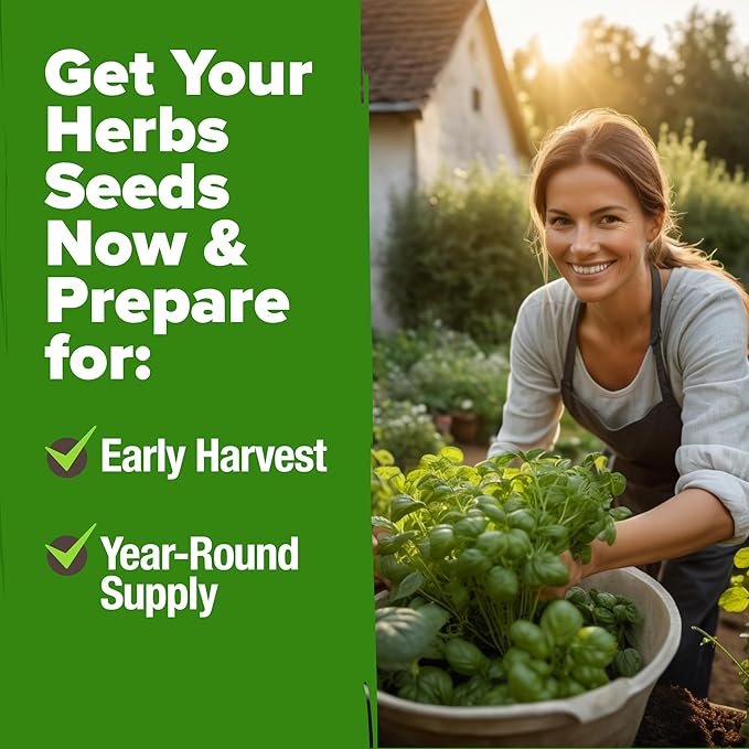 HOME GROWN 20 Culinary Herb Seed Vault - Heirloom and Non GMO - Seeds for Planting for Indoor or Outdoor Herbs Garden, Basil, Cilantro, Parsley, Chives, Lavender, Dill, Marjoram, Mint, Rosemary, Thyme