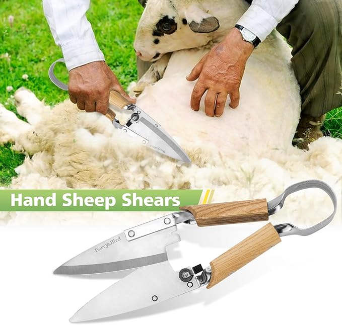 Berry&Bird Hand Shears, Single Bow Straight for Wool Sheep Shear for Alpaca, Pet, and Horse Shearing, Stainless Steel Large Grass Scissors for Cutting, Gardening, Pruning, and Trimming - 11.8'' Long