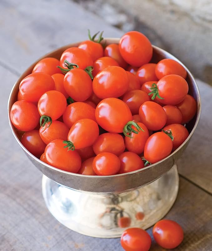 Burpee 'Napa Grape', Tomato Seeds, 30 Non-GMO Seeds