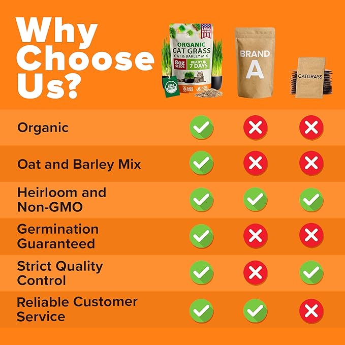 HOME GROWN Organic Cat Grass Seeds Pack 8oz β 7200 π‘π’π‘-ππ π’ π¨π¦π-π¦π’π¨π₯πππ Heirloom Oat & Barley Grass Seeds for Indoor Cats β High Germination Hairball Relief, Pet Grass Ready in 7Days