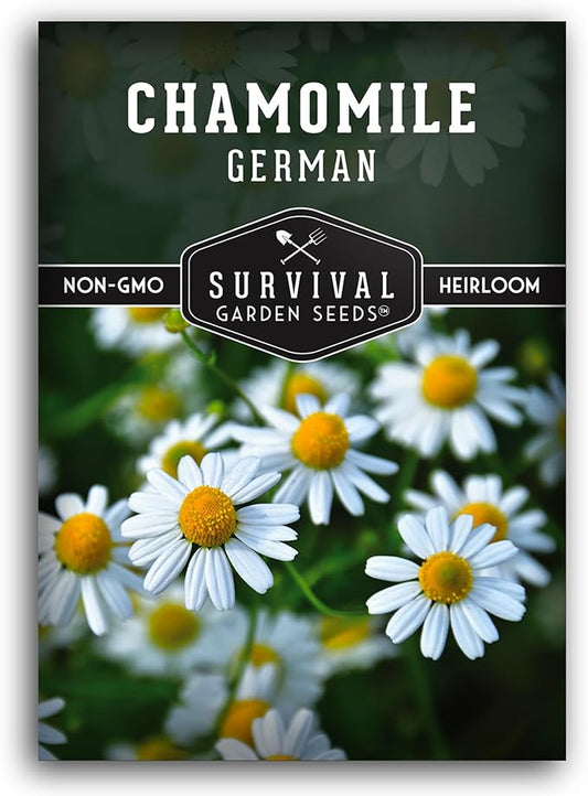 German Chamomile Seeds for Planting - 1 Packet with Instructions to Plant and Grow Matricaria chamomilla in Your Home Herb Garden - Non-GMO Heirloom Variety - Survival Garden Seeds