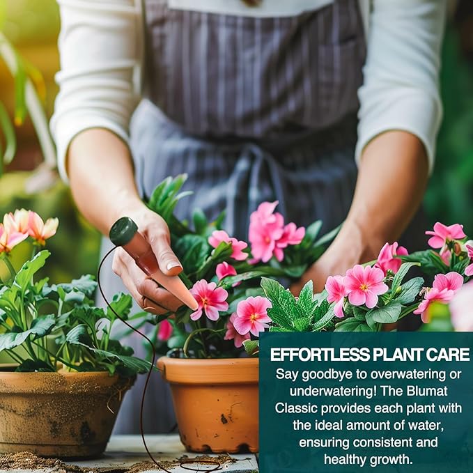 Blumat Classic Plant Watering Stakes - Self-Watering Insert for Indoor and Outdoor Plants - Automatic Slow Release Irrigation System for Potted Plants - Houseplant Care Device (50 Packs)