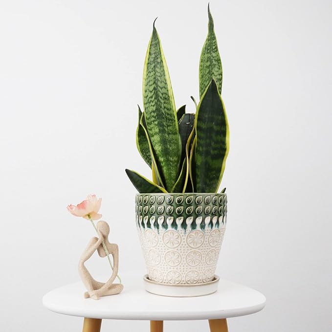 6 Inch Ceramic Planter Pots with Drainage Holes, Saucers and Mesh Pads for Indoor-Outdoor Plants, Succulent Orchid Flower Large Round Plant Pot, Set of 2 (Green+White)